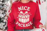 Nice Package | Funny Christmas SVG Cut File
