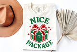 Nice Package | Funny Christmas SVG Cut File