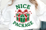 Nice Package | Funny Christmas SVG Cut File