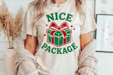 Nice Package | Funny Christmas SVG Cut File