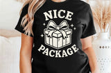 Nice Package | Funny Christmas SVG Cut File