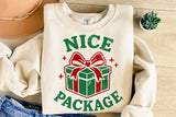 Nice Package | Funny Christmas SVG Cut File