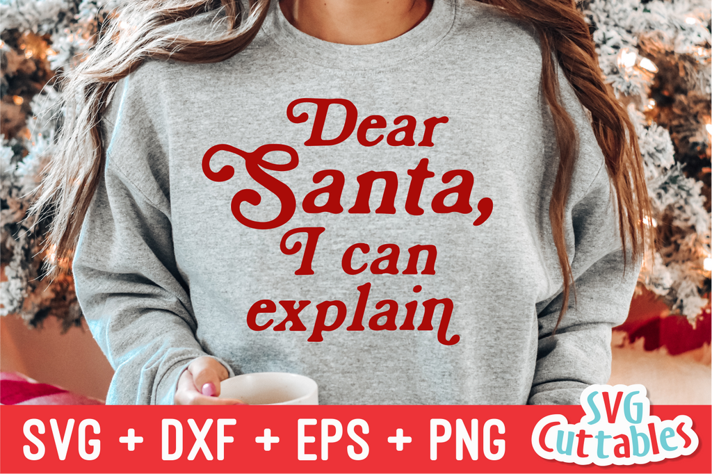 Dear santa i shop can explain sweater