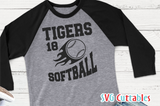 Softball Team Template 006