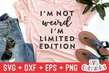 Sassy Bundle 1 | SVG Cut File