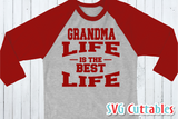 Life is the best life svg cut file