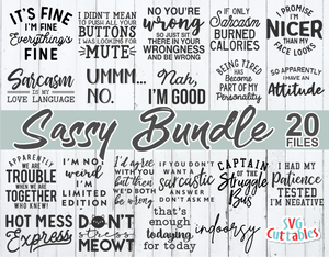 Sassy Bundle 1 | SVG Cut File