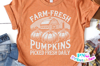 Farm Fresh Pumpkins | Fall Sublimation PNG