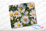 Impasto Painted Daisies Floral 20 oz Skinny Tumbler - Sublimation Tumbler Wrap PNG