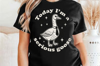 I'm a Serious goose | Funny SVG Cut File