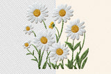 Faux Embroidery Daisies | PNG Sublimation File