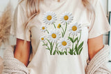 Faux Embroidery Daisies | PNG Sublimation File
