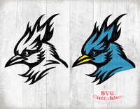 Blue Jay Mascot 1
