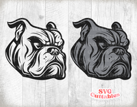 Bulldog Mascot 1