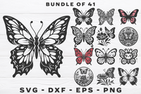 Butterfly Bundle 1