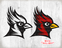 Cardinal Mascot 1