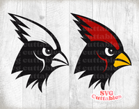 Cardinal Mascot 2