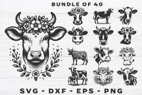 Cow Bundle 1