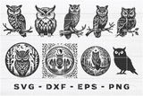 Owl SVG Bundle 1