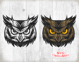 Owl Mascot 2